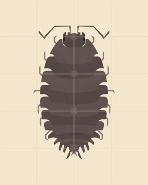 'Woodlouse' van Studio Kars + Boom