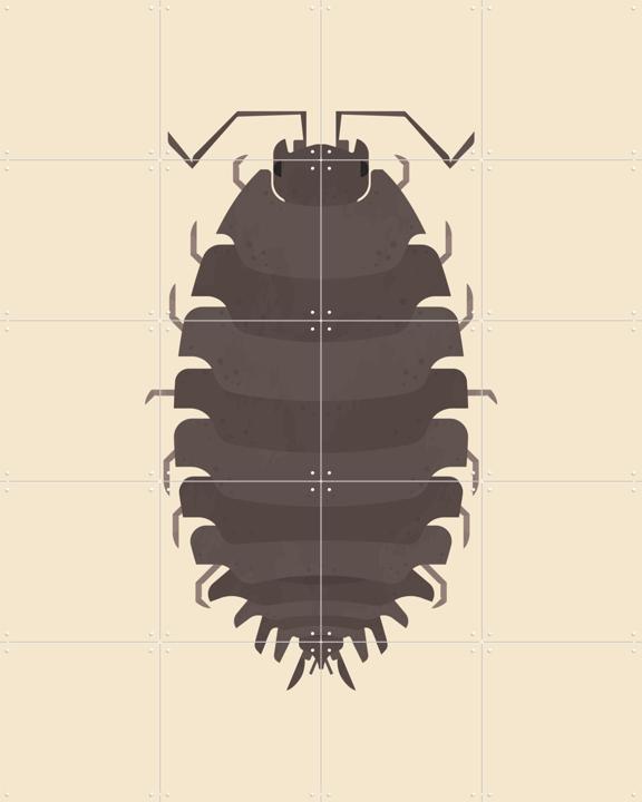 Woodlouse