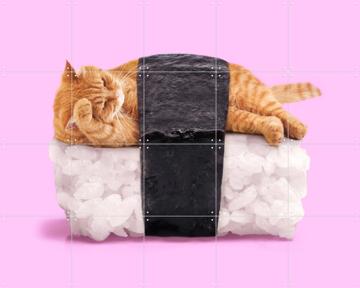 'Sushi Cat' by Paul Fuentes