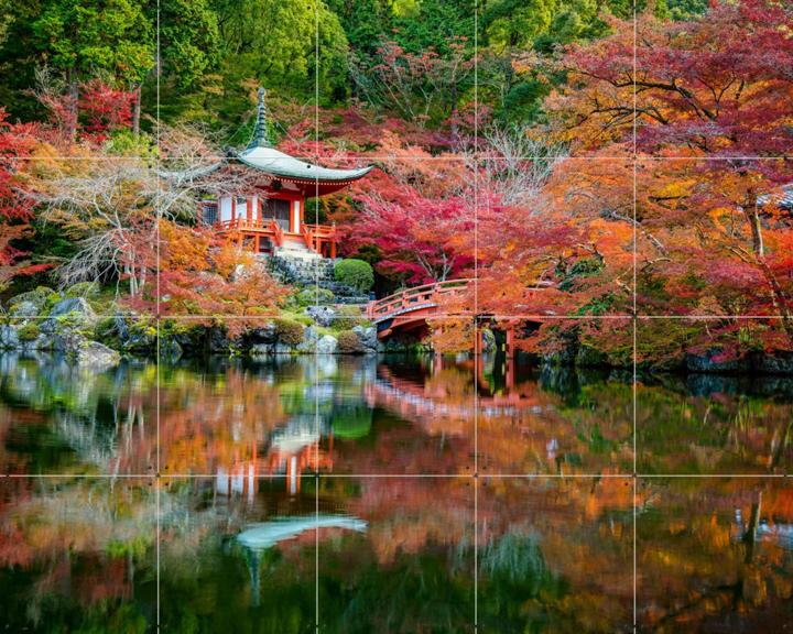 Japanese Garden Autumn