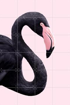 'Black Flamingo' van Paul Fuentes
