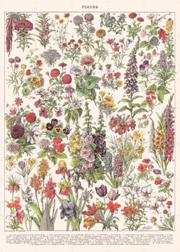 'Fleurs Larousse print' by Aster Edition