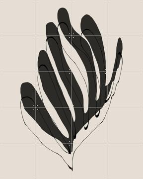 'Modern Flower' by The Miuus Studio