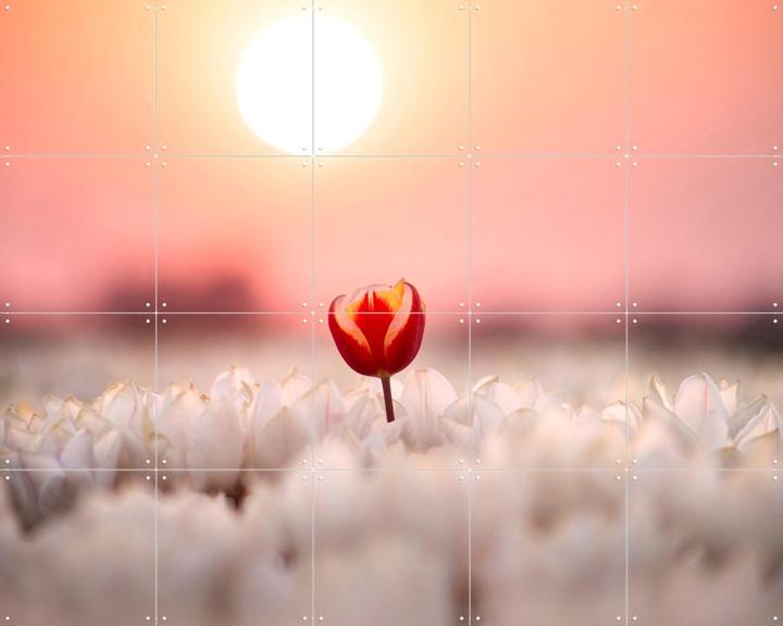 Dutch Rebels Heartbreaker