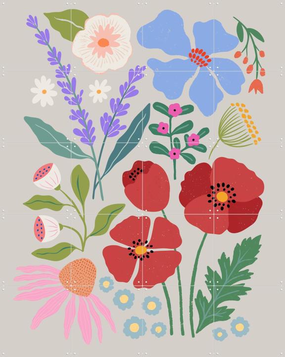 Poppies and Lavender Meadow