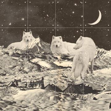 'Giant White Wolves' par Florent Bodart