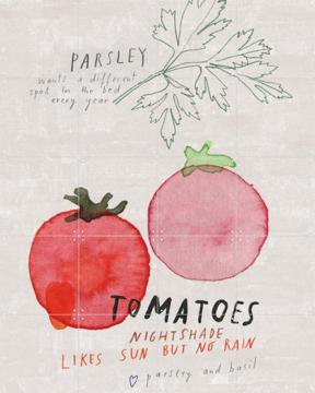 'Tomatoes' von Signorinah