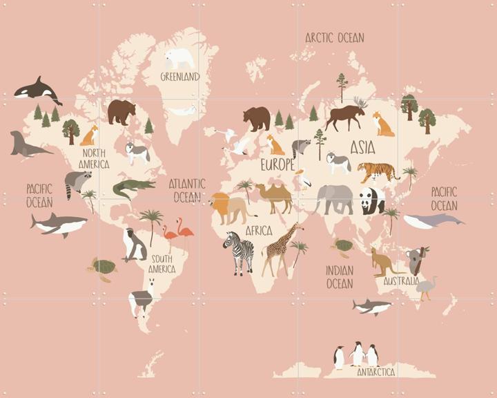 Nursery World Map (Pink)