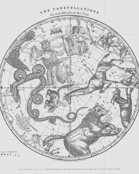 The Constellations white