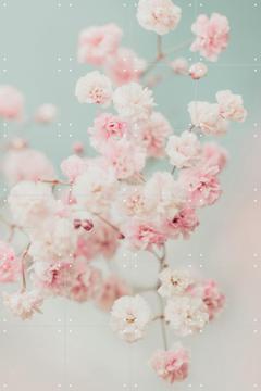 'Pink Gypsophilia Flowers' von Ingrid Beddoes