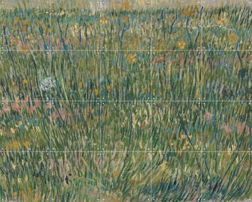 'Grasgrond' by Vincent van Gogh (1853 - 1890) & Kröller-Müller Museum