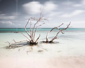 'Tropical Silence The Hatstand' by Claire Droppert