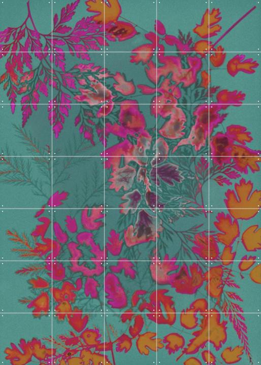 Everything To Everyone