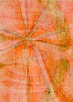 'Morning Glory' by RAR Kramer