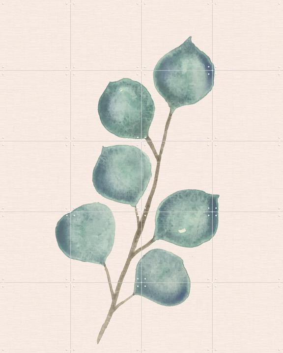 Watercolor Eucalyptus