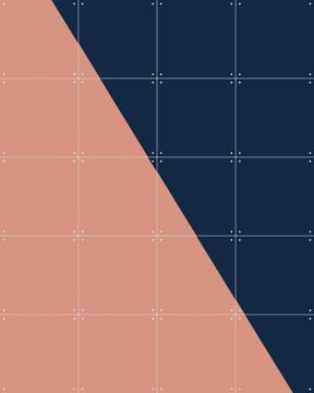 'Color blocking - Pink Blue' van Allon Dery