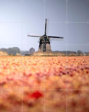 'Windmill in Bloom' par Claire Droppert