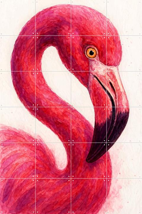 Vivid Pink Flamingo
