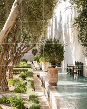 'Le Jardin Secret' by Henrike Schenk