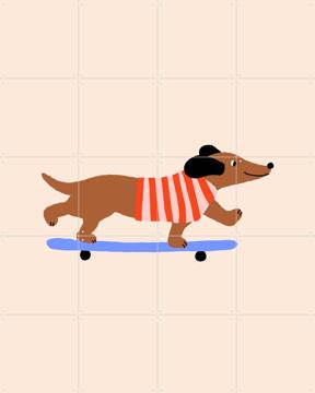 'Dachshund on Skateboard' by Maren Gross