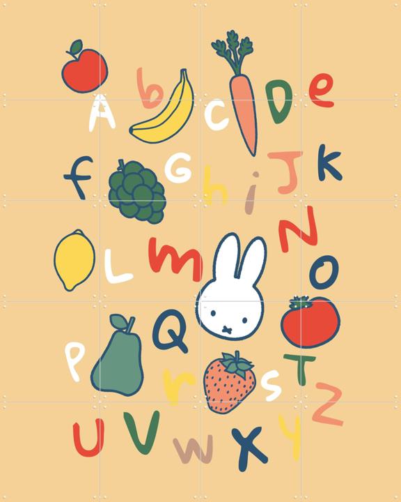 Miffy Alphabet