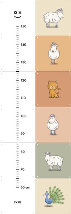 Mike & Molly Color Messlatte