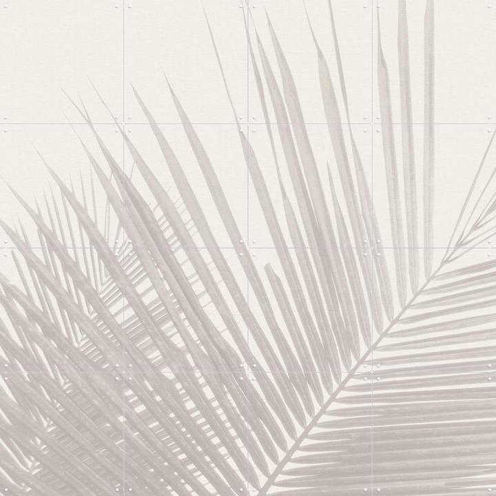 Neutral Tropical palm leaves