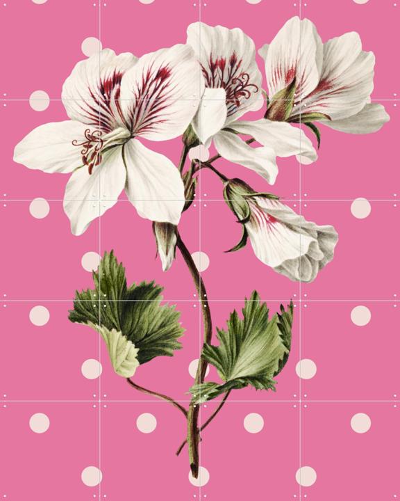 Nature on Pink