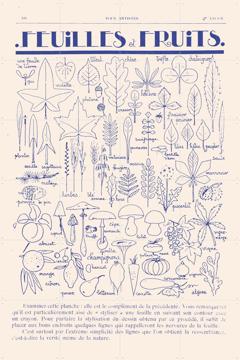 'Feuilles et Fruits' van Aster Edition