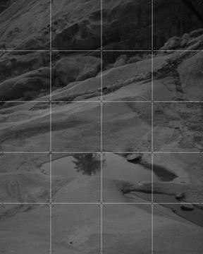 'Palm Shades' von Chris Abatzis