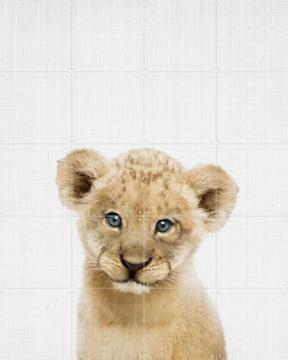 'Baby Lion - blue eyes' van Lila + Lola