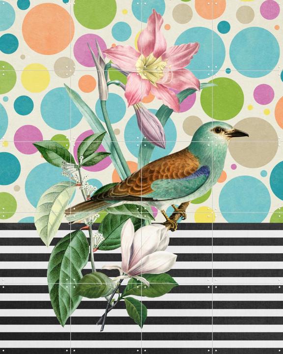 Sweet Spring Bird