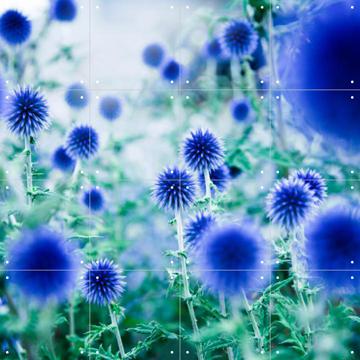 IXXI - Dream Flowers Blue by Mareike Böhmer 