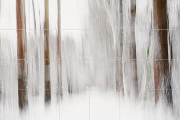 'Snow in the Forest' von Photolovers