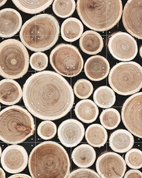 'Cut Timber' von Ingrid Beddoes