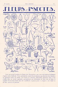 'Fleurs et Insectes' van Aster Edition
