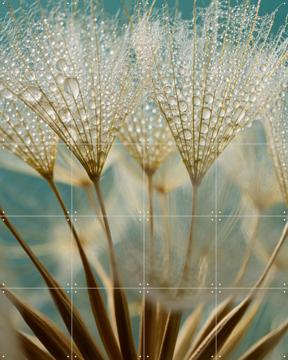 'Goudbruine pluisjes met waterdruppeltjes met petrol achtergrond ' by Marjolijn van den Berg