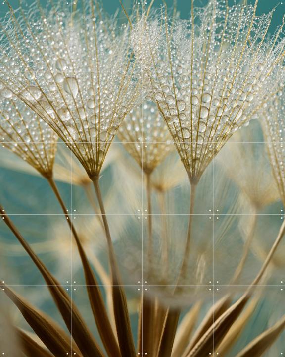Goudbruine pluisjes met waterdruppeltjes met petrol achtergrond 