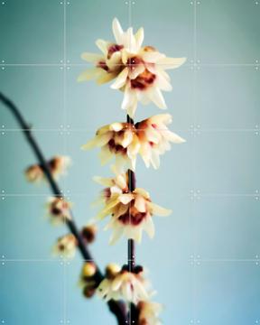 'Simple' van Angelo Cerantola