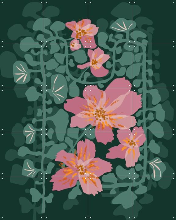 Orchids Shadow Green Notes