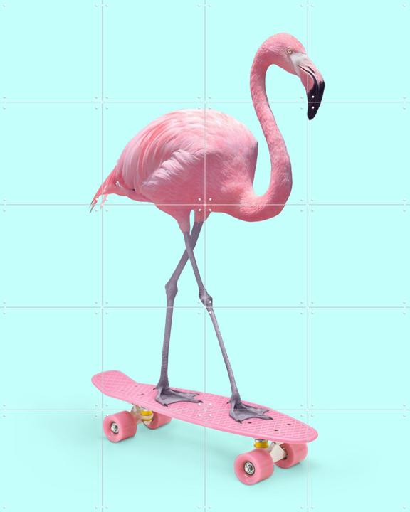 Skate Flamingo