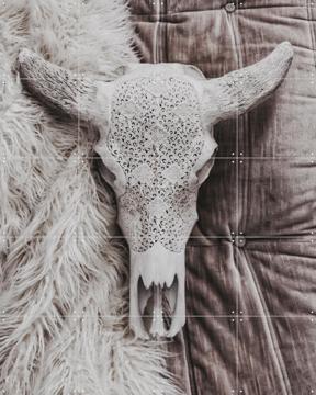 'Velvet and Bone' by STUDIO HANNAH LEMHOLT