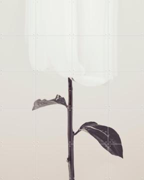 'Whispered Elegance' van 1x Studio II