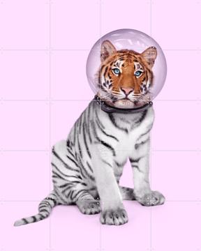 'Space Tiger' by Paul Fuentes