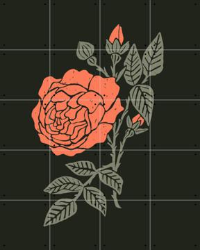 'Rose' van Floor Rieder