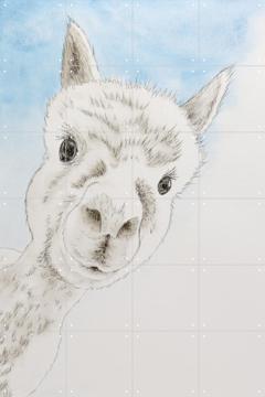 IXXI - Curious Alpaca by Natalie Bruns 