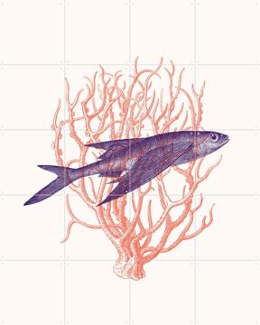 'The Dance' by Florent Bodart