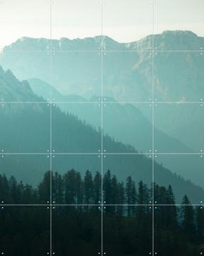 'Soft Morning Light Over Alpine Pines' by Claire Droppert