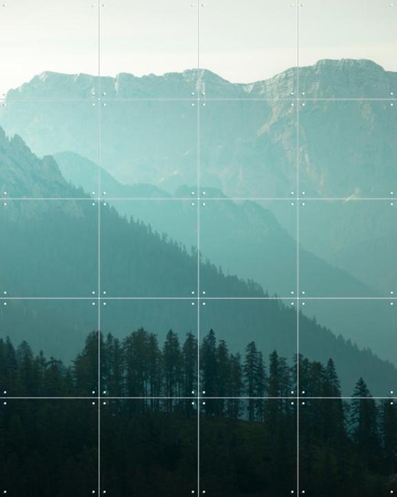 Soft Morning Light Over Alpine Pines
