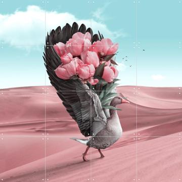 'Say Sorry' von Julien Tabet